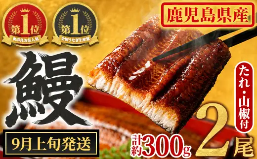 【0104347a-2609】＜9月上旬発送予定＞東串良町のうなぎ蒲焼(無頭)(2尾・計約300g・タレ、山椒付) うなぎ 高級 ウナギ 鰻 国産 蒲焼 蒲焼き たれ 鹿児島 ふるさと 人気【アクアおおすみ】