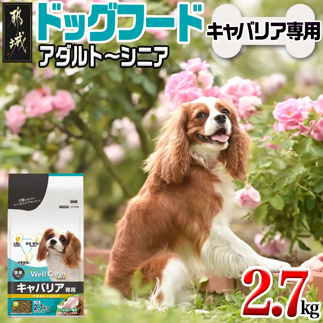 ドッグフード(キャバリア専用)アダルト～シニア2.7kg〔LF-3316〕_(都城市) 国産総合栄養食 ドライフード 中粒タイプ 健康維持 犬種別 犬用フード キャバリア専用