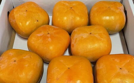 【先行予約】大玉サイズ 平たねなし柿 「クイーンパーシモン」 約4kg 10玉～12玉 おまかせ 和歌山県産 ｜ 柿