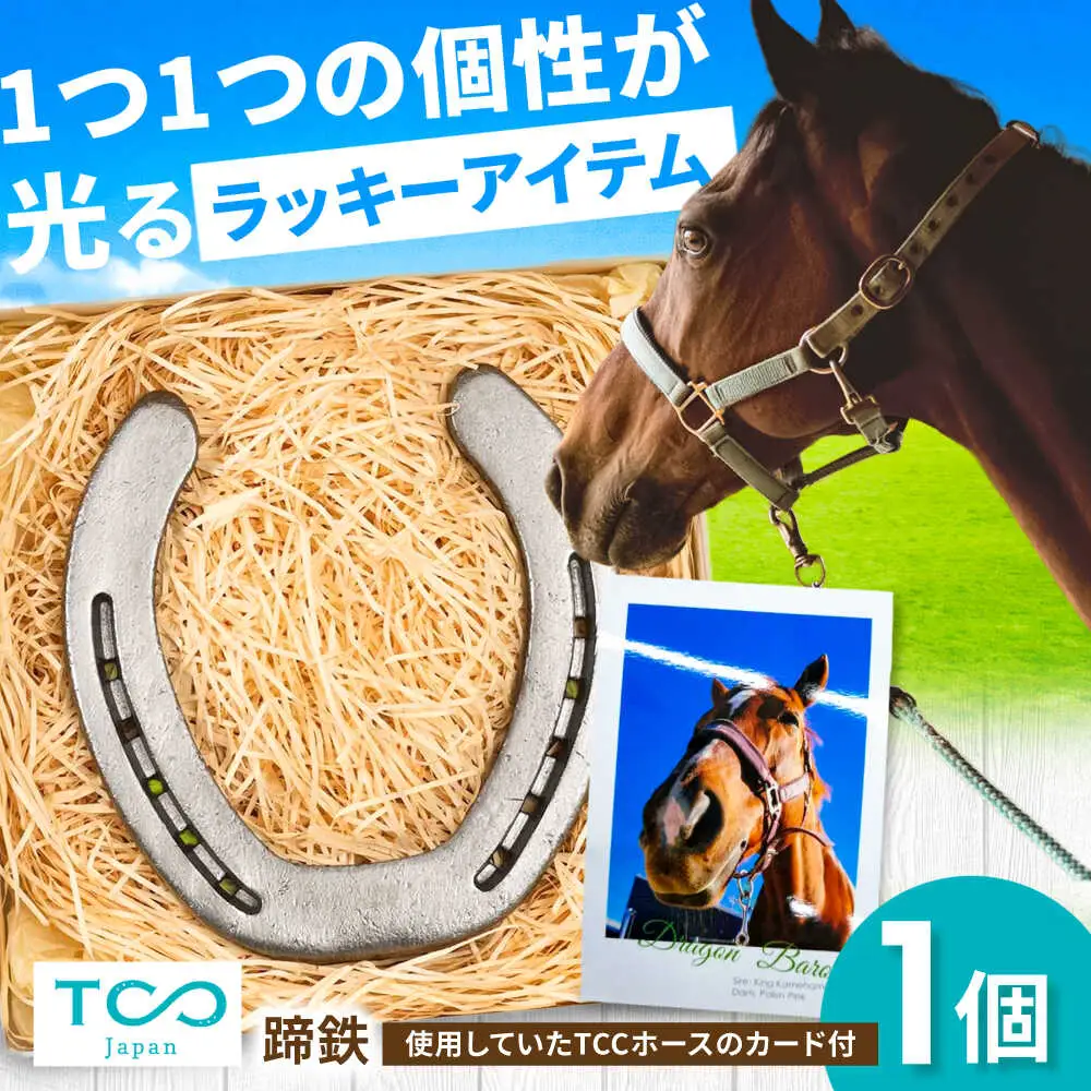 TCCホースシュー 世界に一つだけの蹄鉄 BIAV003 競馬 競馬グッズ