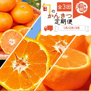 【定期便 全3回】紀州和歌山産 旬の柑橘セット（みかん・ポンカン・紀州デコ）_G60-T43