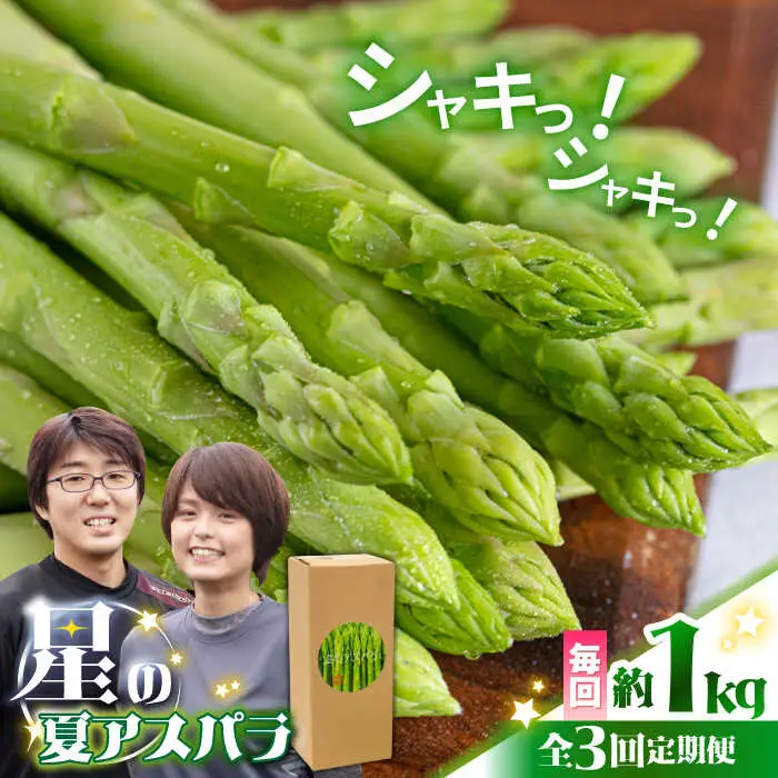 【2026年6月初回発送】【3回定期便】【星のアスパラ】夏のグリーンアスパラガス 約1kg / アスパラ 野菜 / 南島原市 / ほしのYA [SEY014]