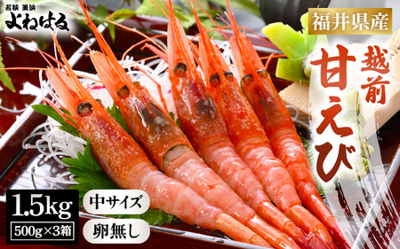 【お中元】 大好評！天然 越前甘エビ（卵なし）中サイズ 計約1.5kg（約500g × 3箱）（合計約105尾入り） 解凍方法説明書付き 船内凍結 酸化防止剤不使用！ 甘エビ本来の味をお楽しみください 【えび エビ 海老 甘エビ 甘えび 海鮮 お刺身 魚介 おせち 無添加 冷凍 福井県産】[m17-c015]