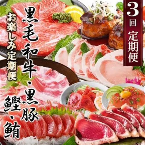定期便3回配送　お楽しみ定期便(黒毛和牛・黒豚・かつお・まぐろ) LL-6014_肉 ハンバーグ 牛肉   肉 黒毛和牛 牛肉   肉 しゃぶしゃぶ 豚肉 豚しゃぶ  肉  豚肉   肉 ハンバーグ 豚肉   魚介・海産物 カツオ 鮮魚 かつお 鰹  魚介・海産物 マグロ 鮮魚 まぐろ 鮪  定期便 定期便  _【配送不可地域：離島】【1485110】