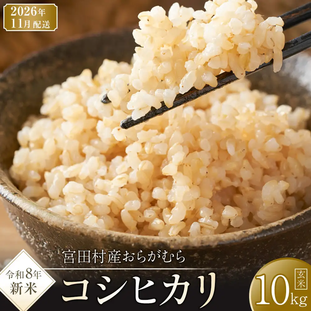【予約受付】【令和８年米】【新米】長野県宮田村産コシヒカリ／玄米／10kg・18,000円／11月配送（ コシヒカリ ）