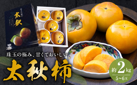 えのしまファーム【贈答用】太秋柿 約２ｋｇ(5～６玉)  _U85-0002