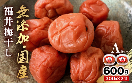 福井 梅干し Aセット（300g × 2個）【 うめ 無添加 】[m20-a007]