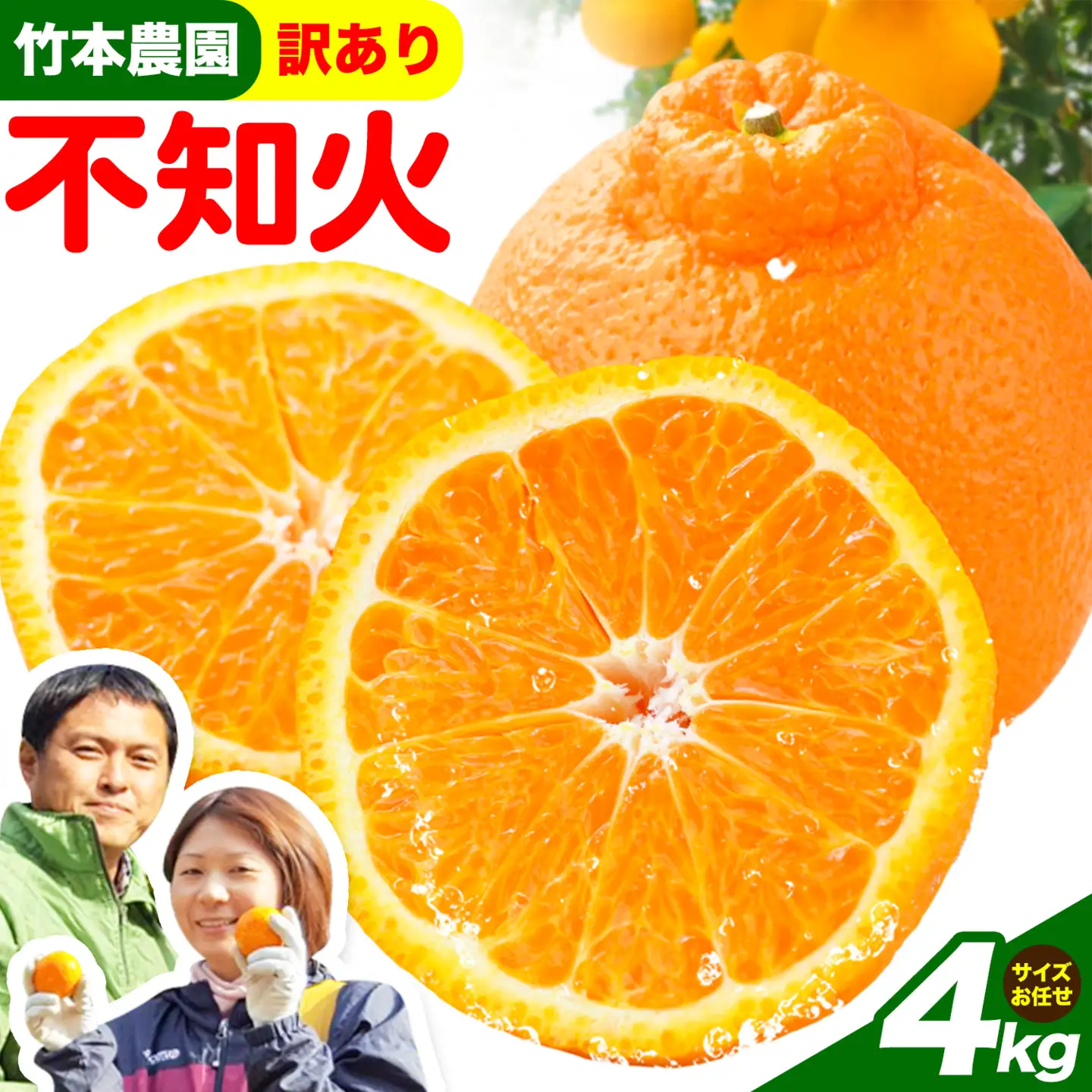 訳あり 不知火 4kg しらぬい