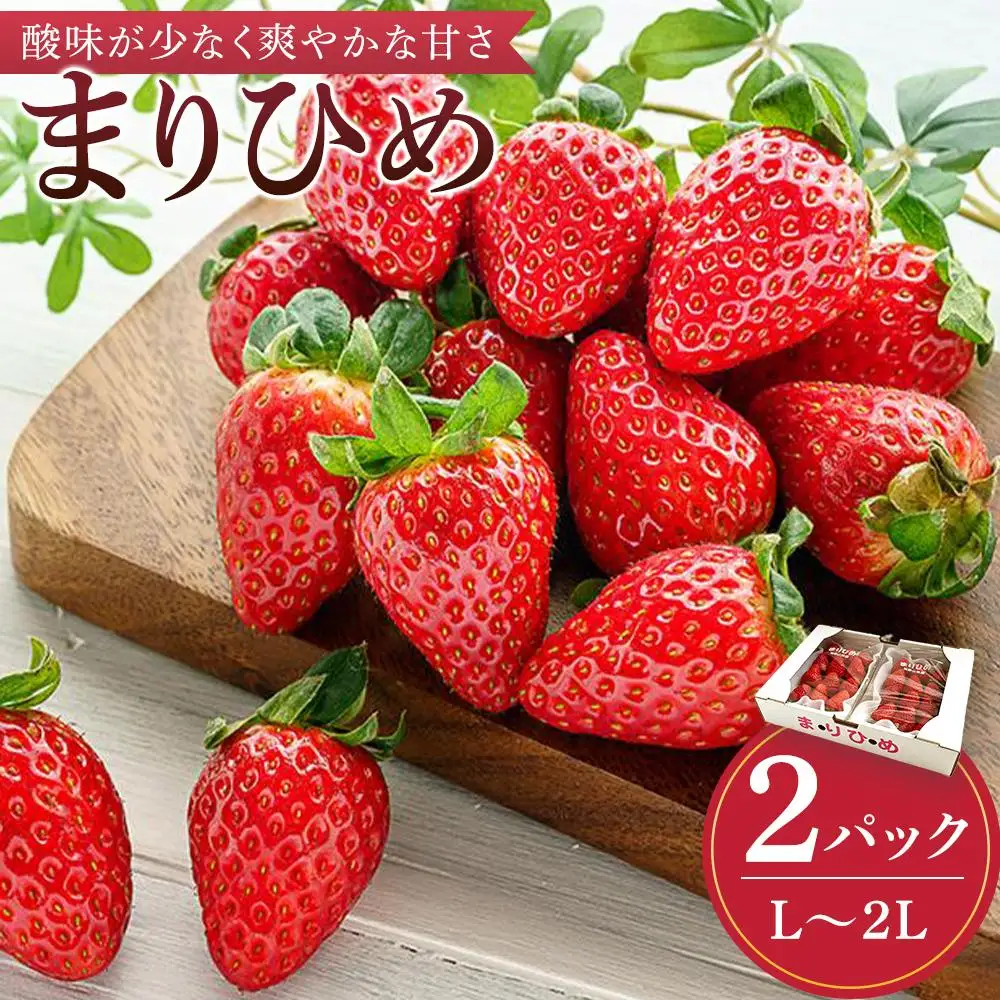 まりひめイチゴ L～2L 12粒～15粒×2パック［2027年1月中旬から発送］［先行販売］［KG7］