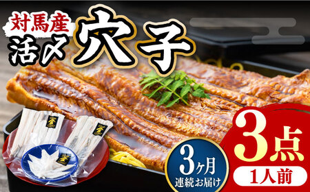 【全3回定期便】対馬産 活〆 穴子 ３点 セット A 新鮮 あなご 刺身 天ぷら 海鮮 一人前  [WAS006]