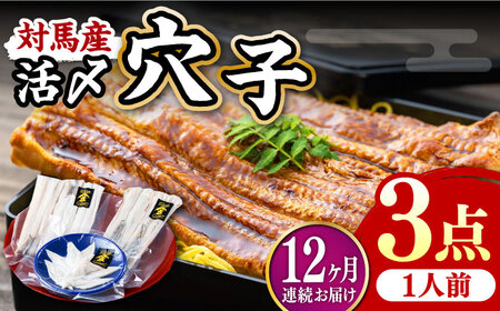 【全12回定期便】対馬産 活〆 穴子 ３点 セット A 新鮮 あなご 刺身 天ぷら 海鮮 一人前  [WAS008]