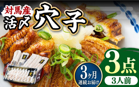【全3回定期便】対馬産 活〆 穴子 ３点 セットC 新鮮 あなご 刺身 天ぷら 海鮮 三人前  [WAS012]