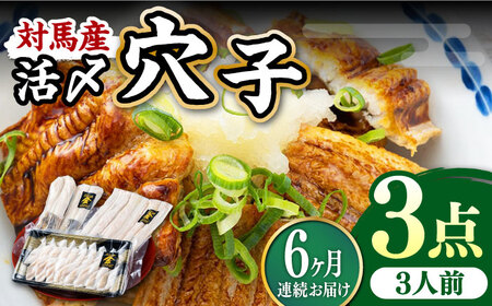 【全6回定期便】対馬産 活〆 穴子 ３点 セットC 新鮮 あなご 刺身 天ぷら 海鮮 三人前  [WAS013]