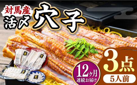 【全12回定期便】対馬産 活〆 穴子 ３点 セット D 新鮮 あなご 刺身 天ぷら 海鮮 5人前  [WAS017]