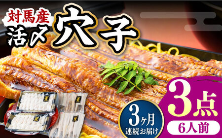 【全3回定期便】対馬産 活〆 穴子 ３点 セット E 新鮮 あなご 刺身 天ぷら 海鮮 六人前  [WAS018]