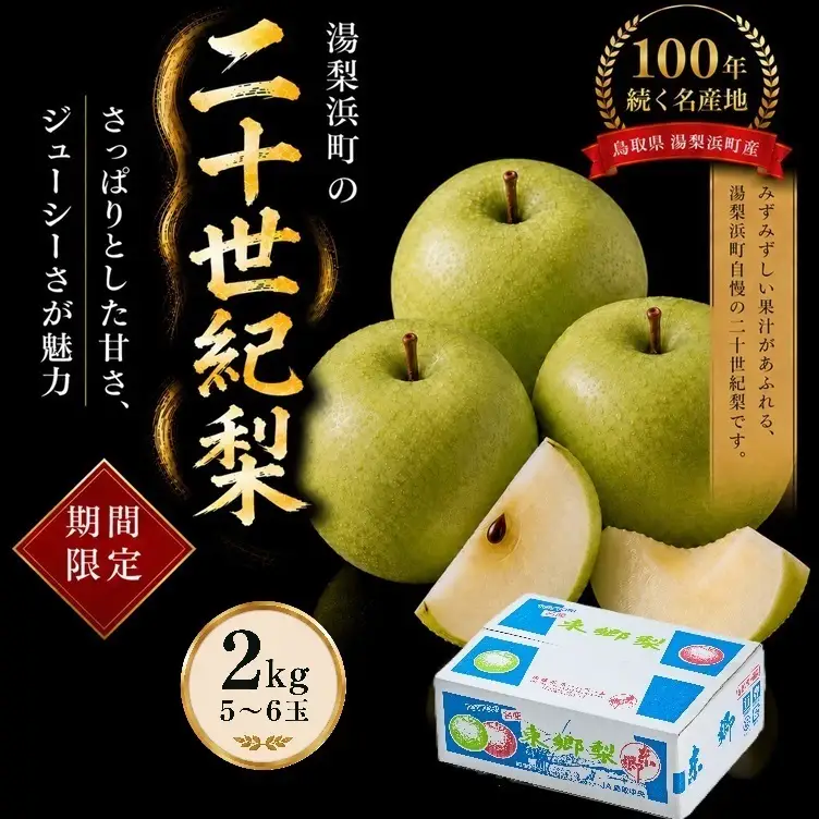 【期間限定】梨 なし 二十世紀 2kg 鳥取県 湯梨浜町 果物 フルーツ 特産品 8月中旬～9月上旬頃順次発送 先行予約 JA 東郷梨選果場 新鮮 人気 おすすめ 送料無料 選べる 内容量  くだもの フルーツ さっぱり さわやか ジューシー 定番 贈答 進物 6M