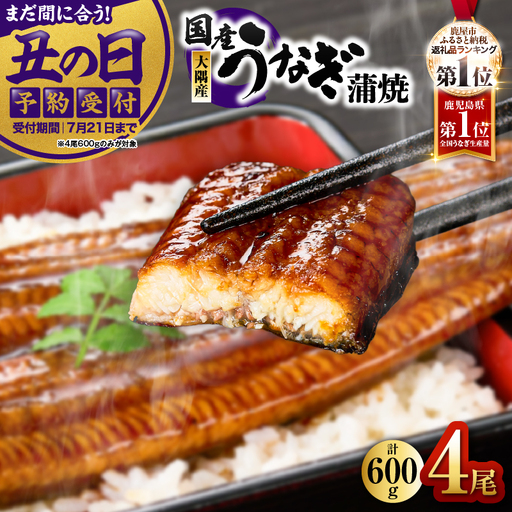 【 期間限定 】【 2026年 土用の丑の日 】 2869 鹿児島県 大隅産 うなぎ 蒲焼 4尾 （ 600g ） KN007-004-01 魚 鰻