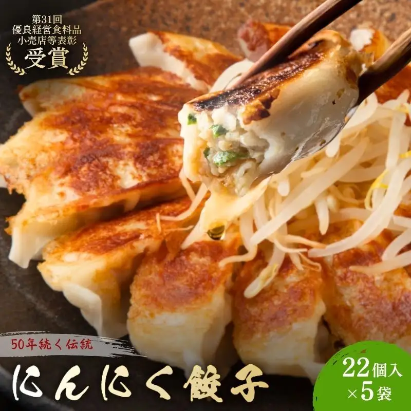 餃子 にんにく餃子 110個 22個×5袋 冷凍 餃子