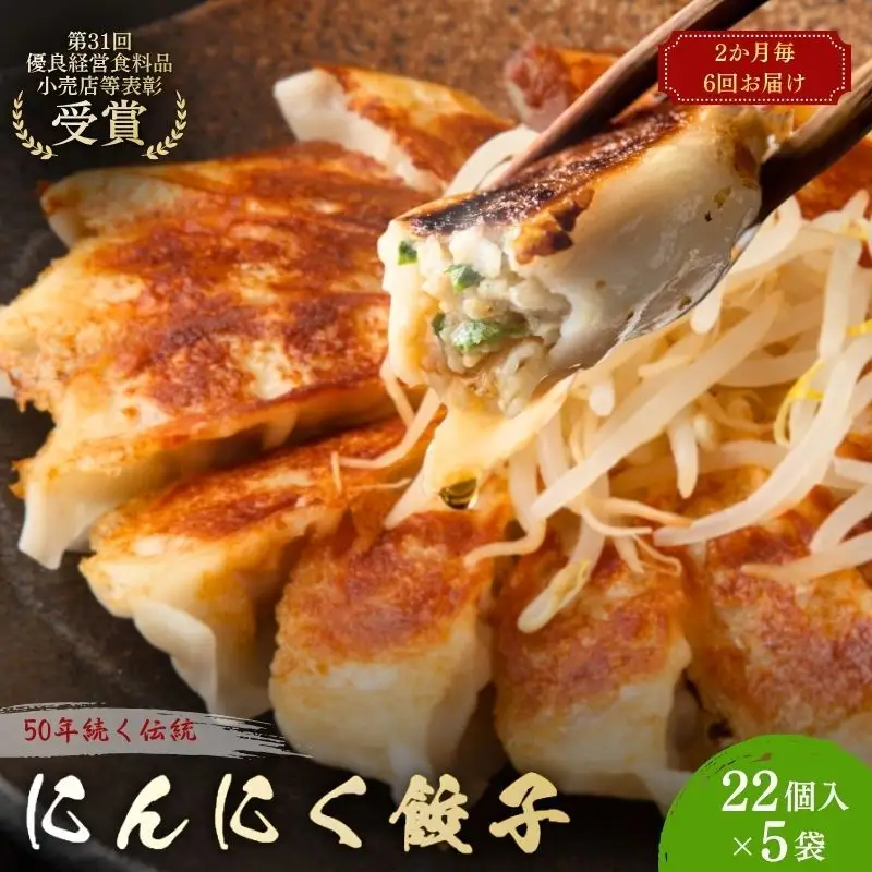 にんにく餃子110個(22個入×5袋)2ヶ月毎6回お届け 惣菜 冷凍餃子 中華 夕飯 夜ごはん おかず お酒のあて おつまみ ビールのおつまみ 