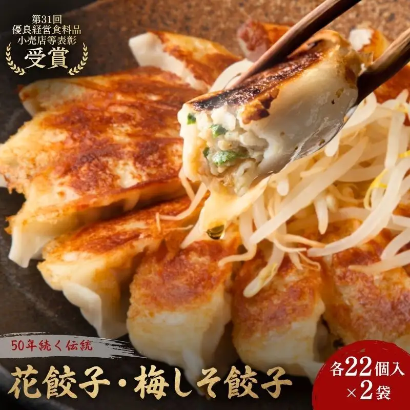 餃子 花餃子 梅しそ餃子 各2袋 冷凍 惣菜 餃子