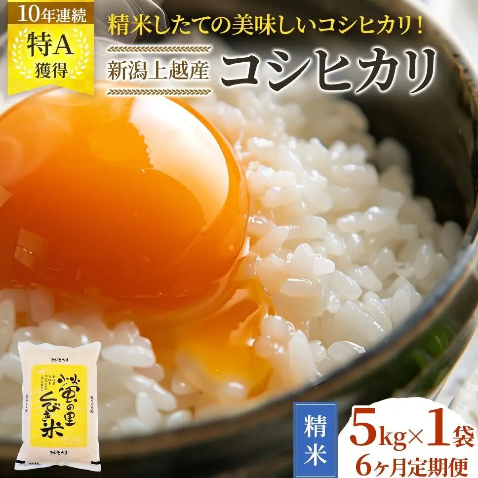 コシヒカリ 新米予約 5㎏ 6回 定期便 30㎏ コシヒカリ