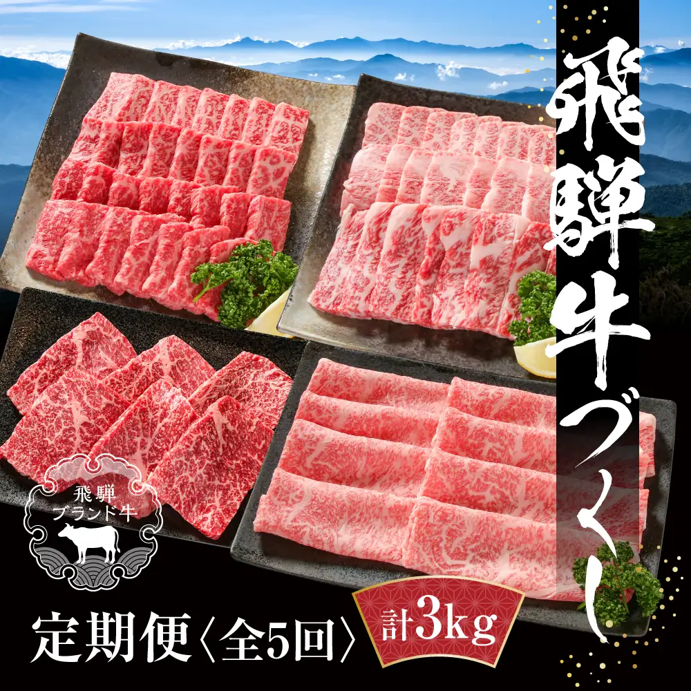【定期便】飛騨牛 全５回（焼肉・すき焼き・ステーキ）計3kg | 定期便 MZ100