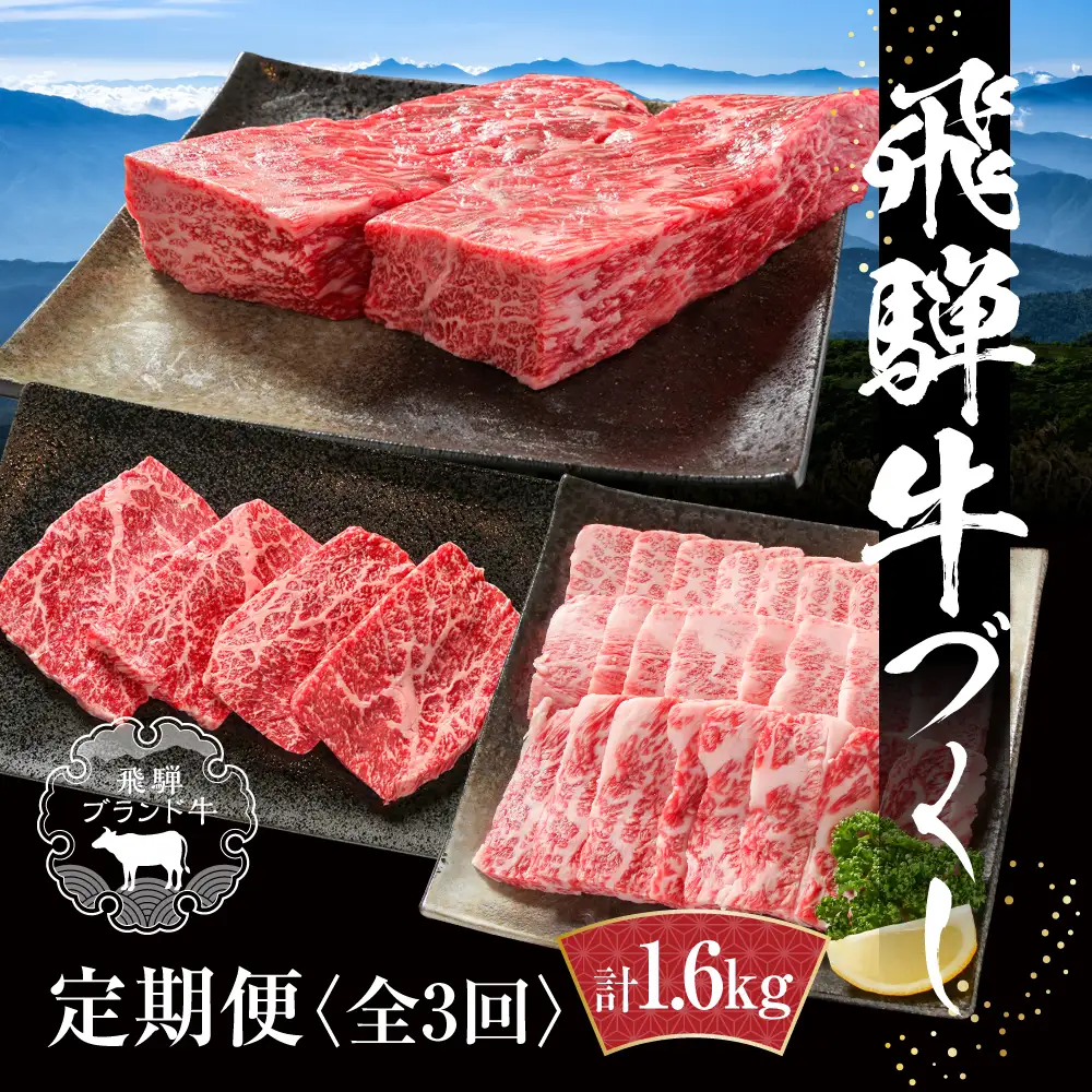 【定期便】飛騨牛（全３回）（ステーキ /焼肉 / ブロック[塊] ) 計1.6kg 全3回  | 定期便 MZ101