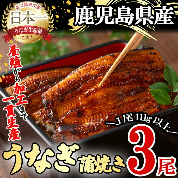 桜林養鰻のうなぎ蒲焼 計333g以上(111g以上×3尾) 鰻 うなぎ ウナギ うなぎ  蒲焼き かばやき 国産 九州産 鹿児島県産 冷凍 真空パック 簡単 うな丼 うな重 ひつまぶし 惣菜 おかず b0-175