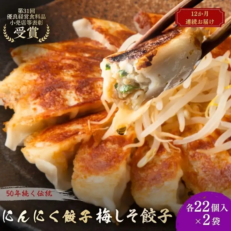 にんにく餃子(22個入り×2袋)と梅しそ餃子(22個入り×2袋)　12ヶ月連続お届け 惣菜 冷凍餃子 中華 夕飯 夜ごはん おかず 食べ比べ おつまみ ビールのおつまみ 