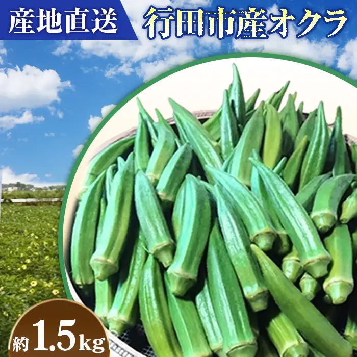【産地直送】行田市産オクラ 大容量1500g No.396