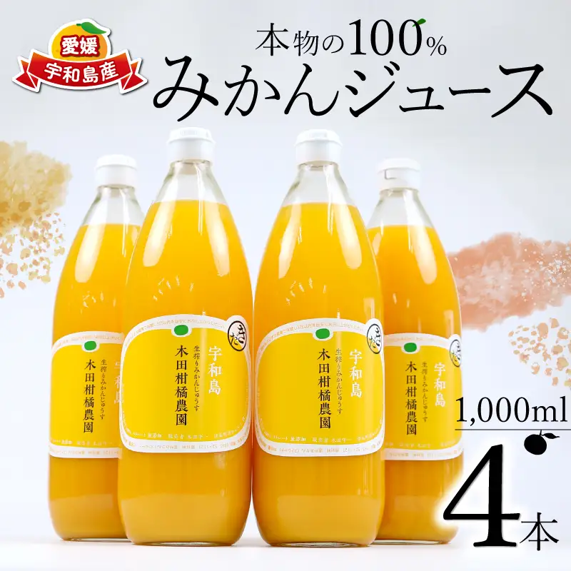 みかんジュース 本物の100％みかんジュース 1,000ml × 4本 木田柑橘農園  H017-185001