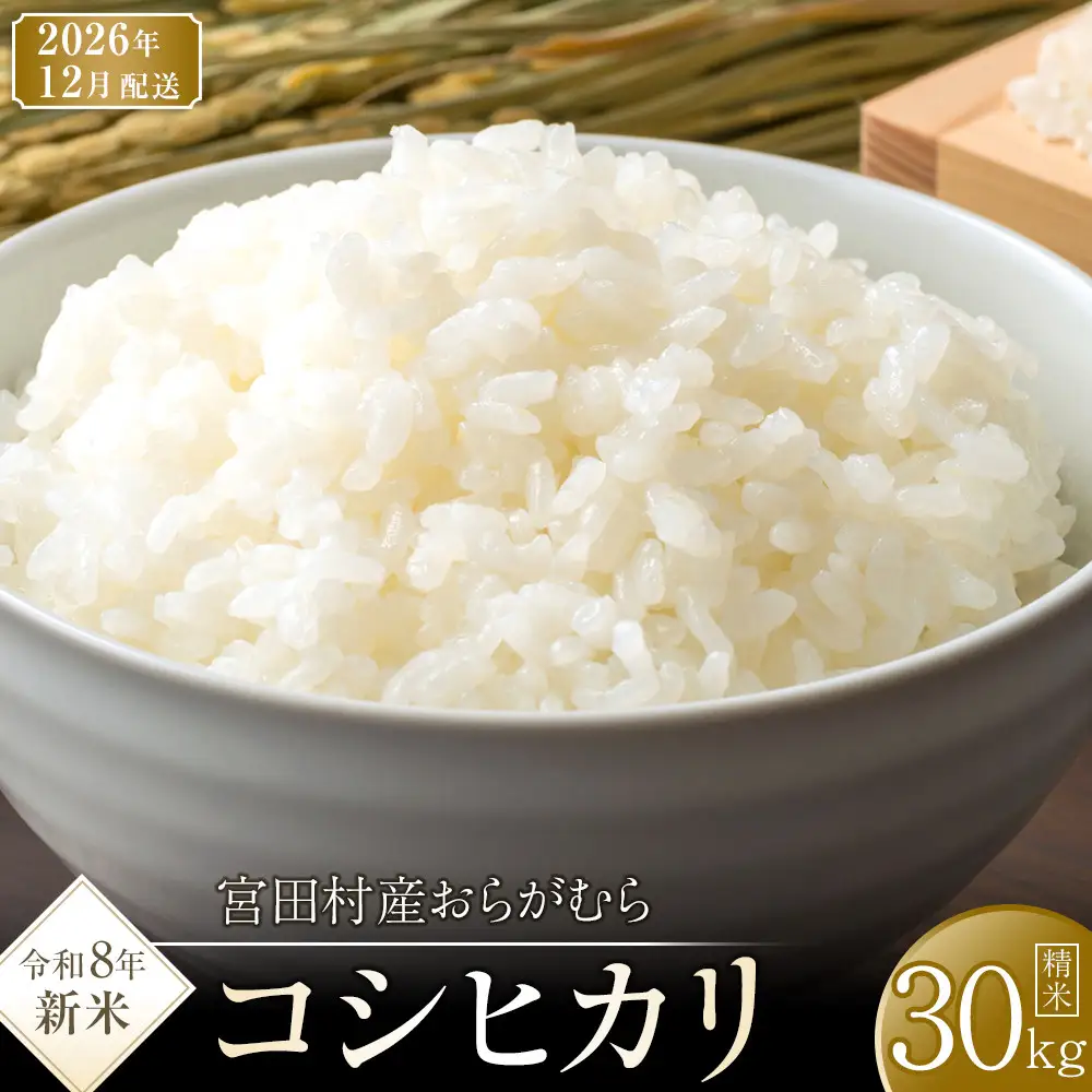 【予約受付】【令和８年米】【新米】長野県宮田村産コシヒカリ／精米／30kg・60,000円／12月配送 60,000円