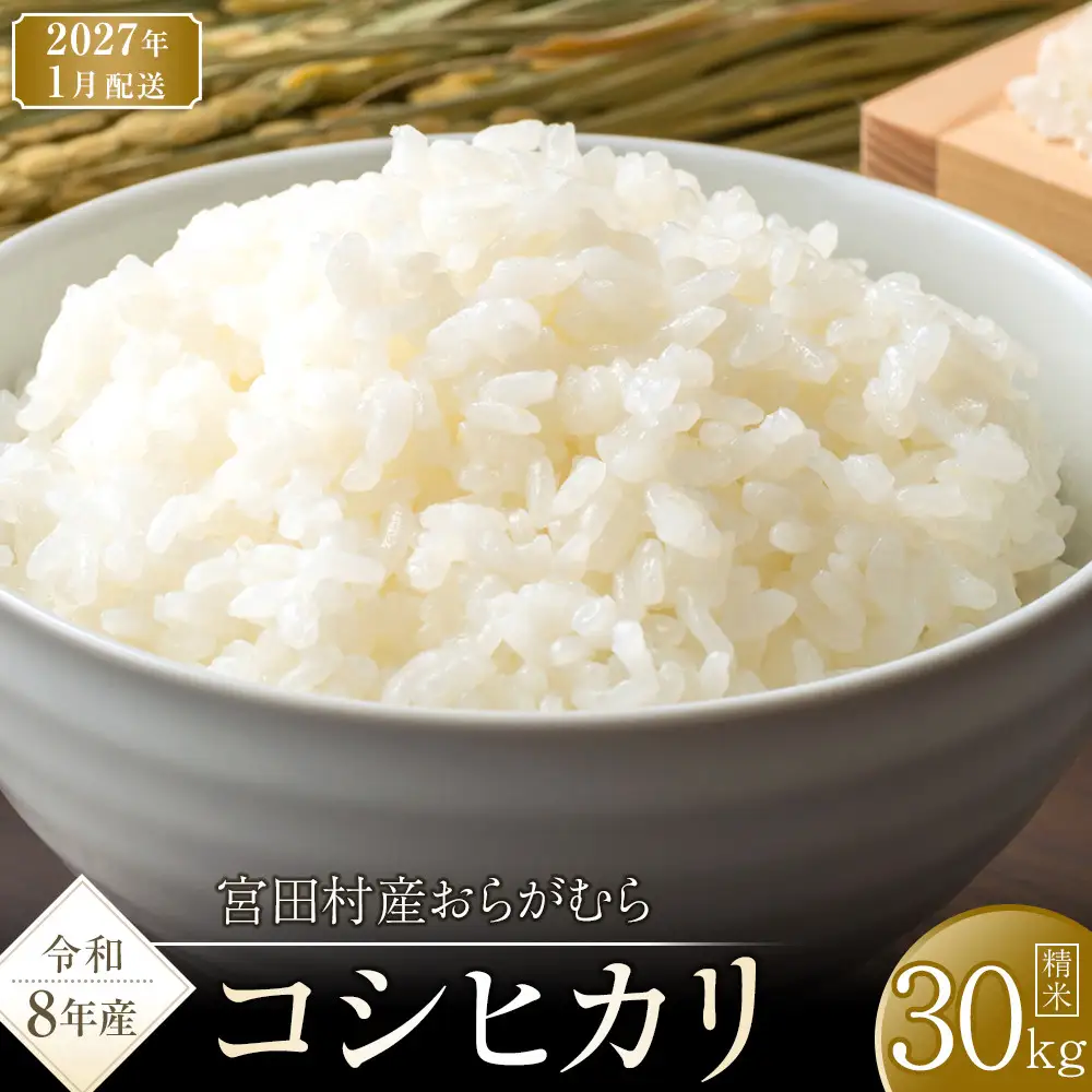 【予約受付】【令和８年米】長野県宮田村産コシヒカリ／精米／30kg・60,000円／令和９年1月配送