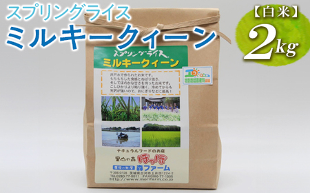 【新米】スプリングライス ミルキークィーン (白米)2kg ※着日指定不可 | 米 こめ コメ ご飯 白米 単一米 国産 茨城県産 ※2026年9月～発送 _BI21
