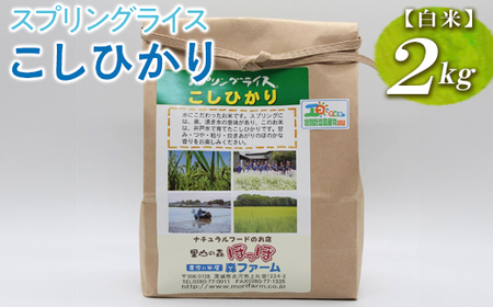 【新米】スプリングライス こしひかり (白米)2kg コシヒカリ ※着日指定不可 | 米 こめ コメ ご飯 白米 単一米 国産 茨城県産 ※2026年9月～発送 _BI24
