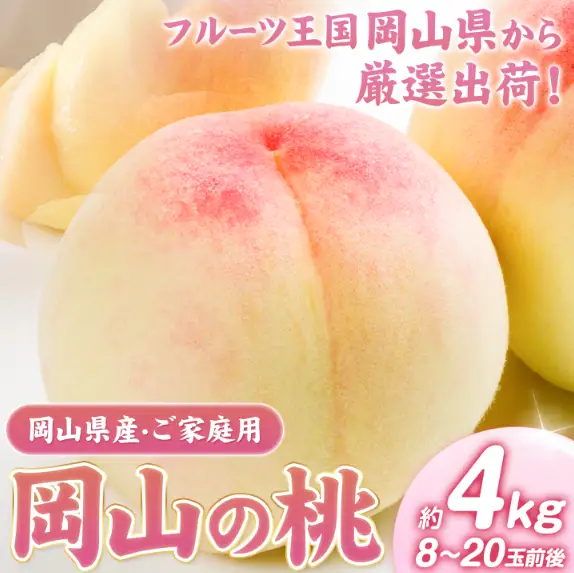 【2027年発送】 白桃 岡山の桃 約4kg