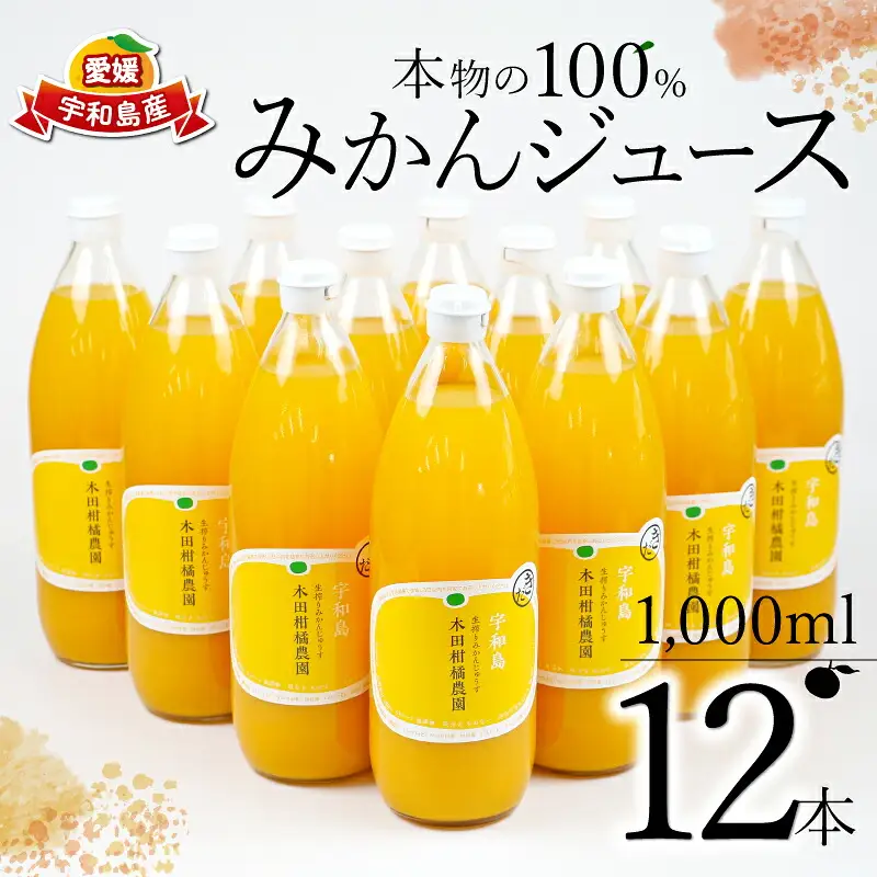 みかんジュース 本物の100％みかんジュース 1,000ml × 12本 木田柑橘農園 H048-185003