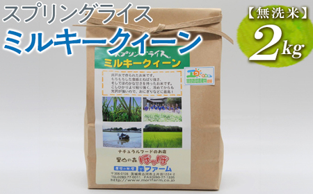 スプリングライス ミルキークィーン (無洗米)2kg ※着日指定不可 | 米 こめ コメ ご飯 白米 単一米 国産 茨城県産 _BI35