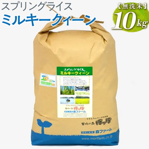 スプリングライス ミルキークィーン (無洗米)10kg ※着日指定不可 | 米 こめ コメ ご飯 白米 単一米 国産 茨城県産 _BI37