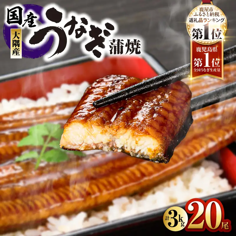 【 土用の丑の日特集 】727-1 鹿児島県大隅産 うなぎ蒲焼 20尾（3kg） KN007-020 うなぎ 鰻 魚 惣菜 総菜