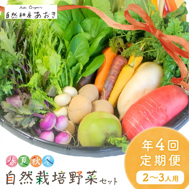 【4回定期便】自然栽培野菜セット(年4回春夏秋冬)2～3人用 野菜