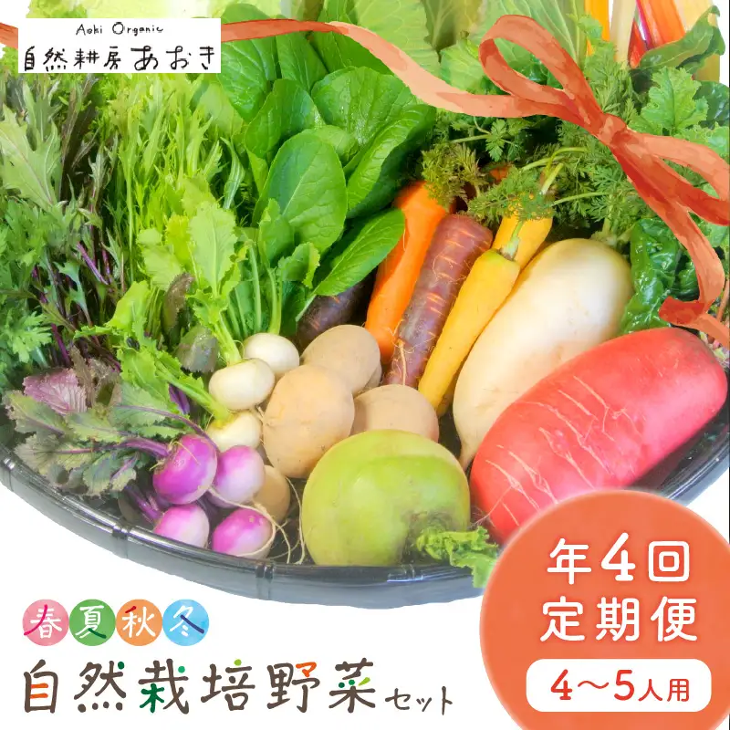 【4回定期便】春夏秋冬自然栽培野菜セット(年4回)4～5人用 野菜