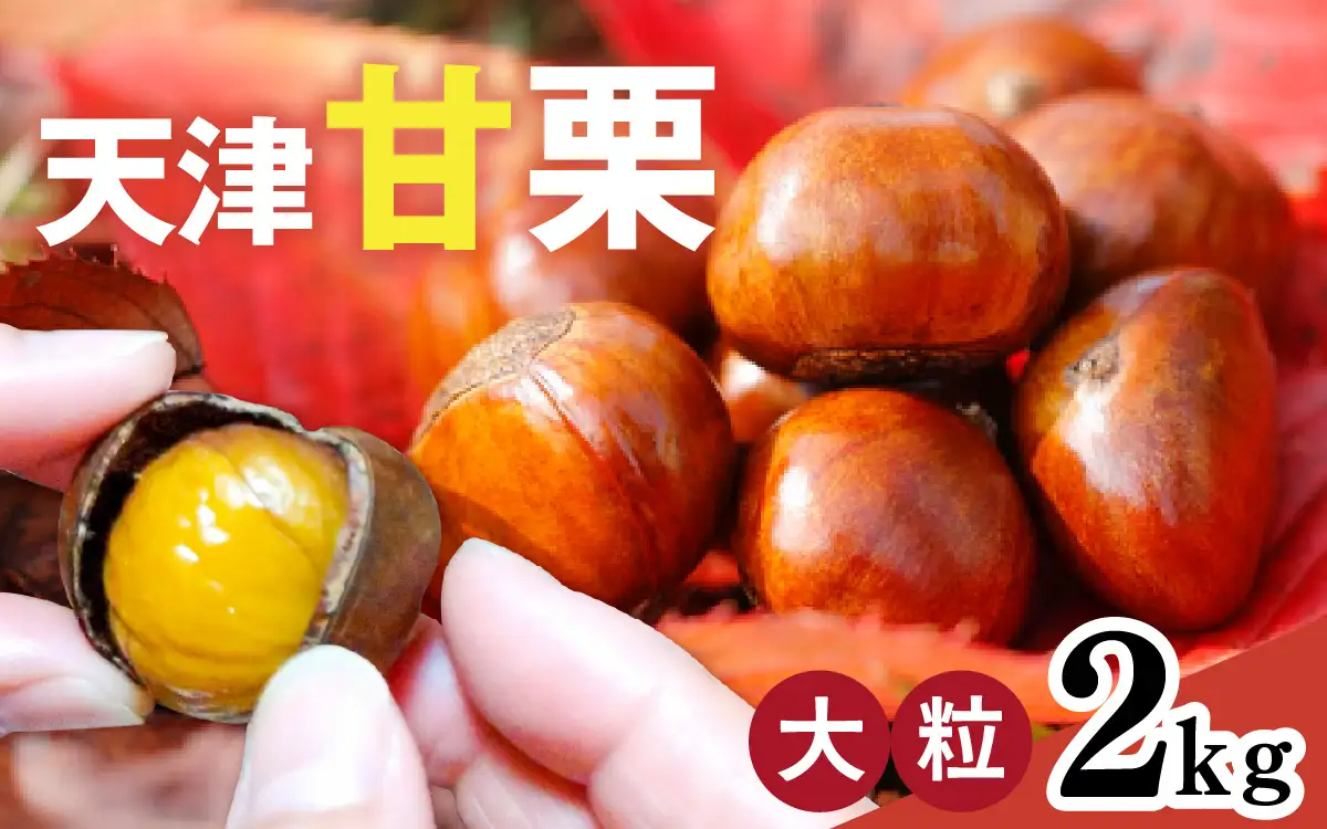 【先行予約】天津甘栗 2kg / 甘栗