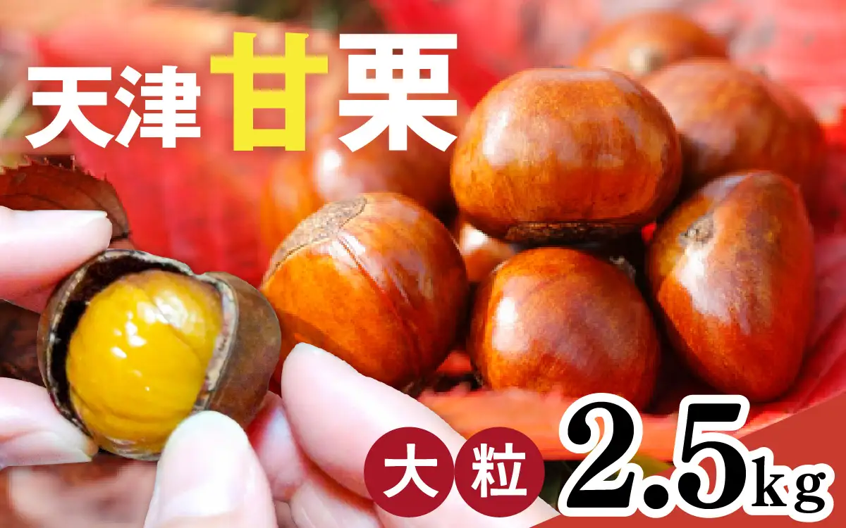 【先行予約】天津甘栗 2.5kg / 甘栗