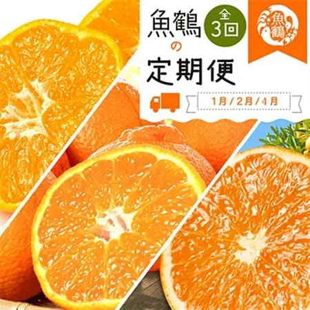 【発送月固定定期便】紀州和歌山産旬の柑橘セット(みかん・不知火・清見)全3回【4011934】