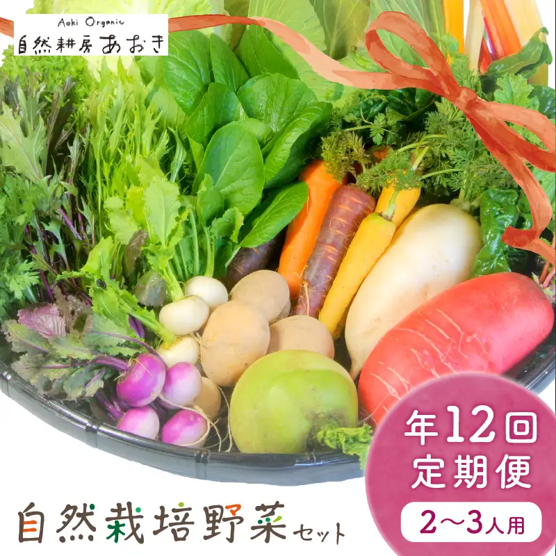 【12回定期便】自然栽培野菜セット 2~3人用 月1回×12ヵ月 野菜