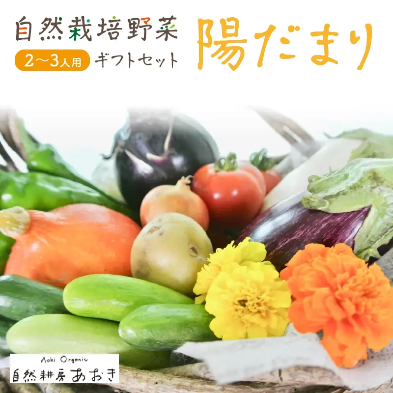 【数量限定】自然栽培野菜セット（陽だまり）