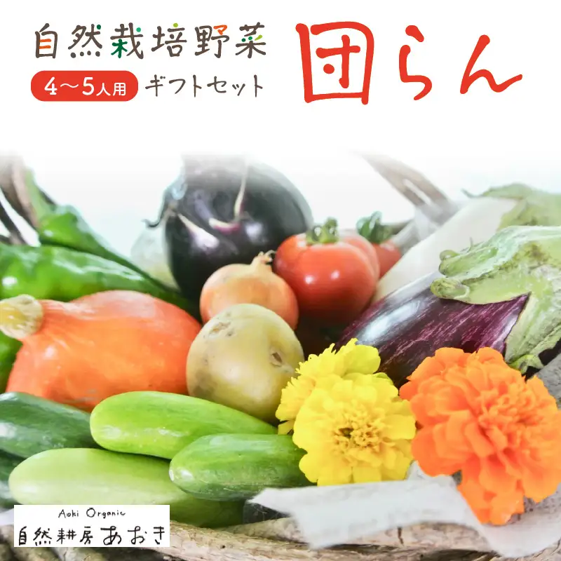 【数量限定】自然栽培野菜セット（団らん）