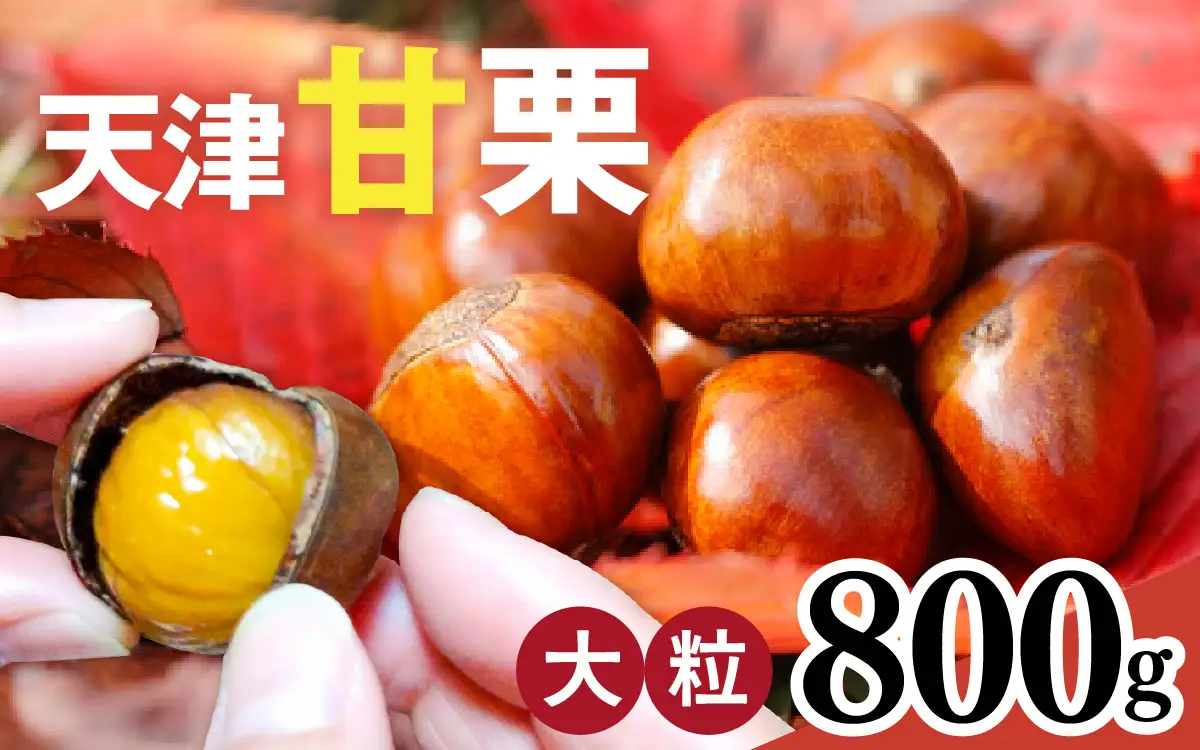 【先行予約】天津甘栗 800g / 甘栗