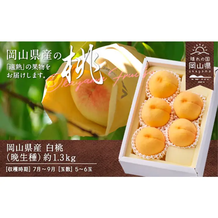 岡山県産「白桃（晩生種）」約1.3kg（5～6玉）【26年8月上旬以降の出荷分】